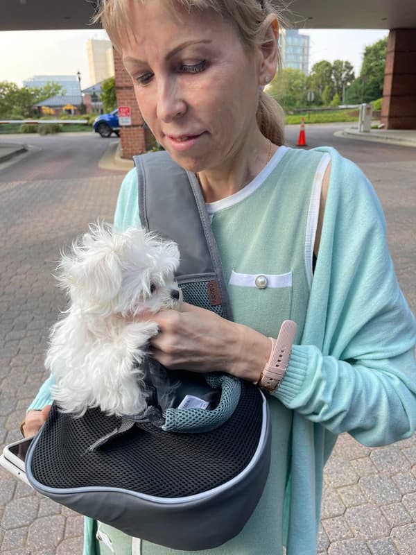 Customer photo of Maltese puppy from Vitalina Z.