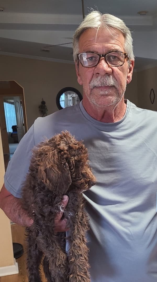 Customer photo of Labradoodle puppy from Christella B.