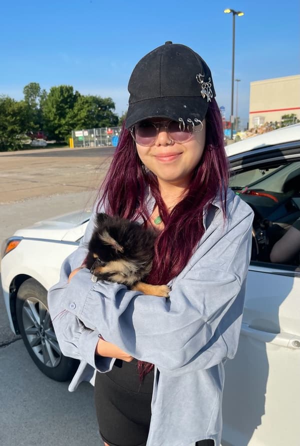 Customer photo of Pomeranian puppy from Vanessa N.