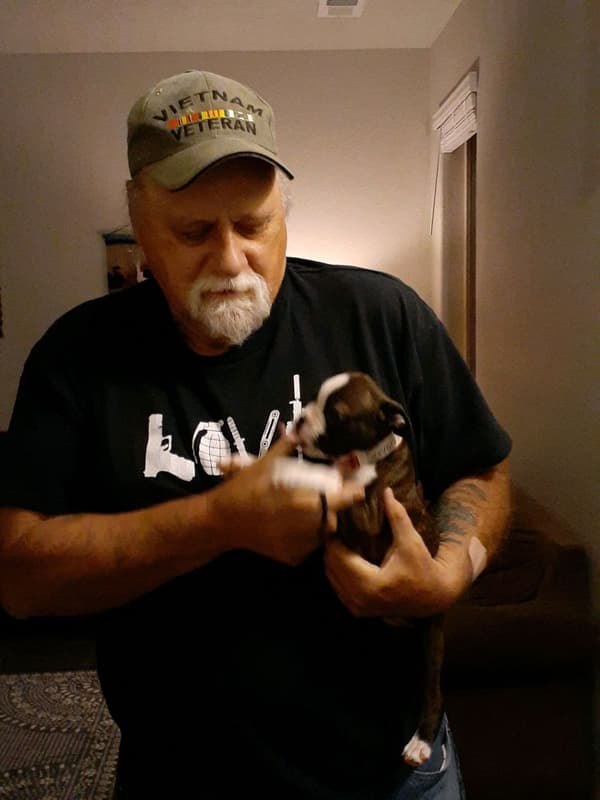 Customer photo of Boston Terrier puppy from Thomas J.