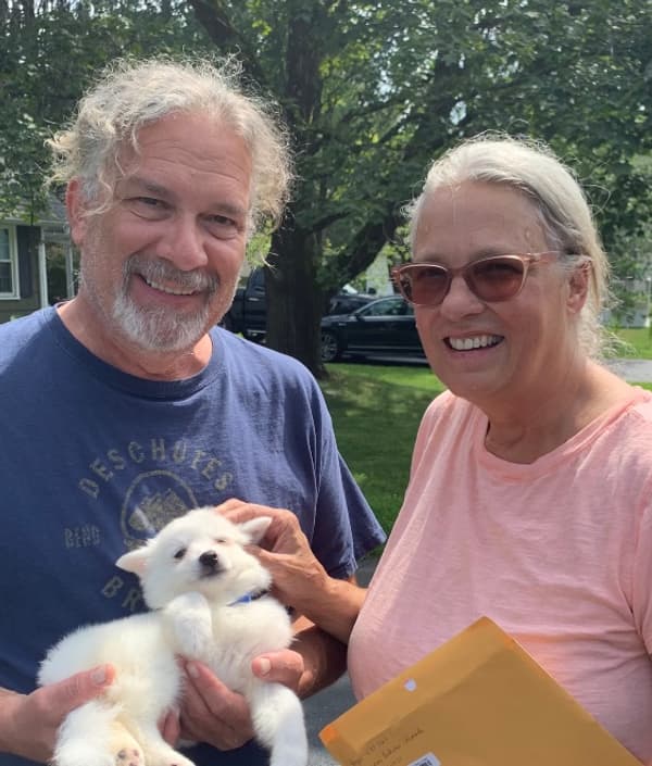 Customer photo of American Eskimo Dog puppy from Ali L.