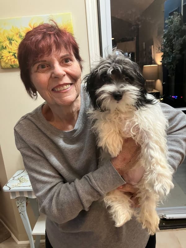 Customer photo of Havanese puppy from Melanie K.