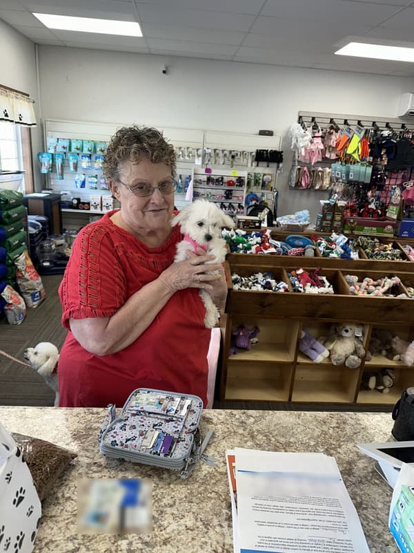 Customer photo of Coton De Tulear puppy from Mary S.