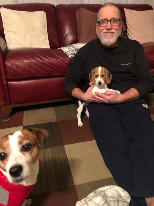 Customer photo of Beagle puppy from Philip S.