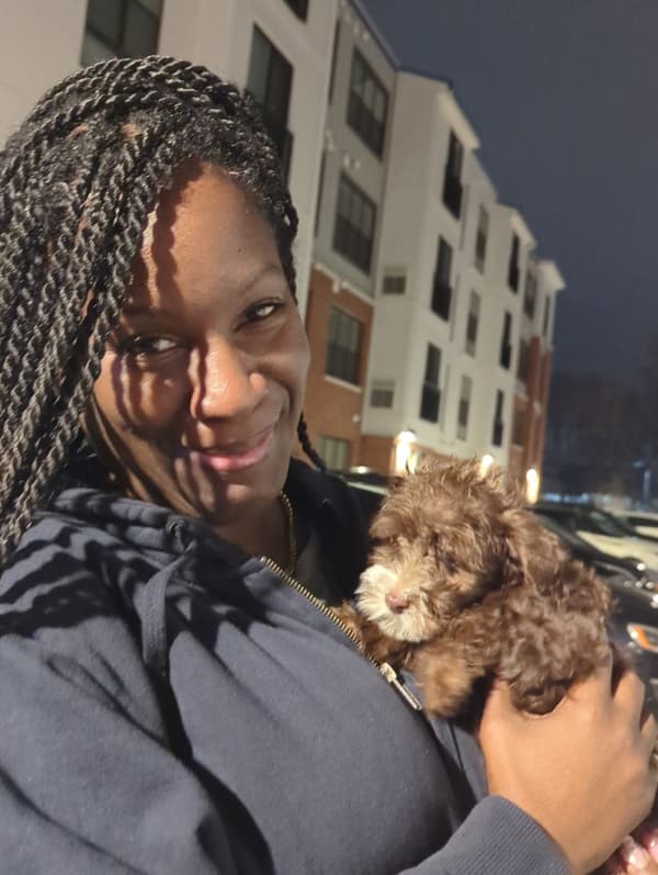 Customer photo of Yorkiepoo - Yorkie Poo puppy from Nakisha S.