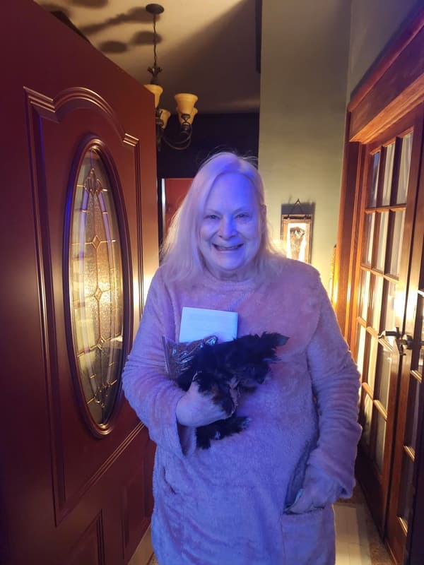 Customer photo of Yorkshire Terrier - Yorkie puppy from Penny H.