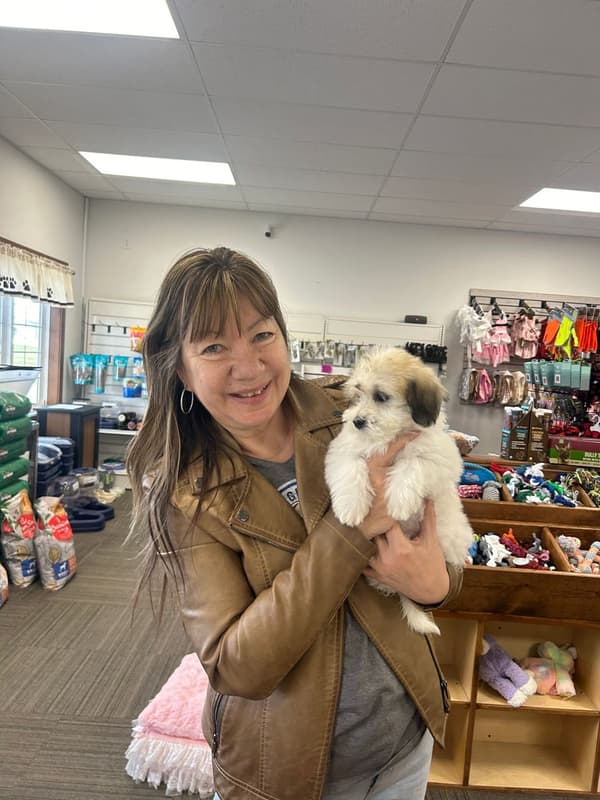 Customer photo of Mixed/Other puppy from Juanita D.