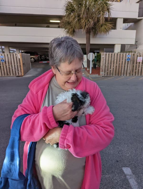 Customer photo of Yorkiepoo - Yorkie Poo puppy from Elisa L.