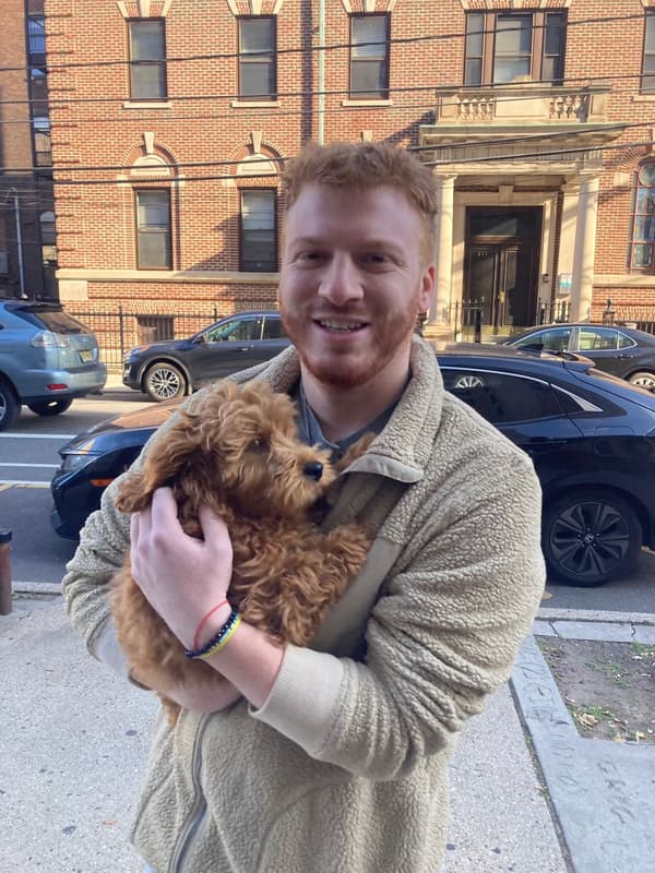 Customer photo of Goldendoodle, Mini puppy from Garrett G.