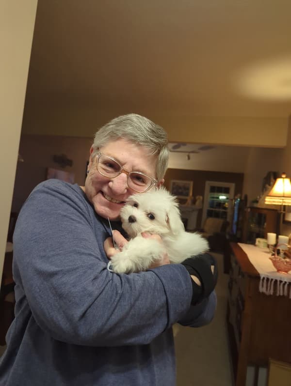 Customer photo of Maltese puppy from Joanna B.