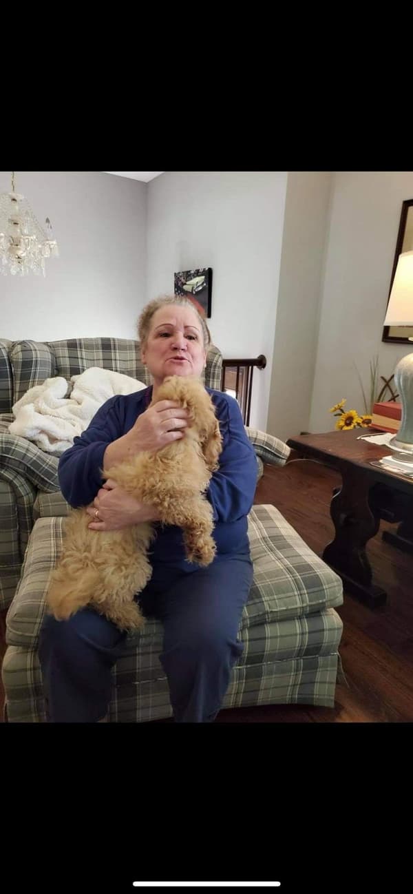 Customer photo of Cockapoo puppy from Gloria K.