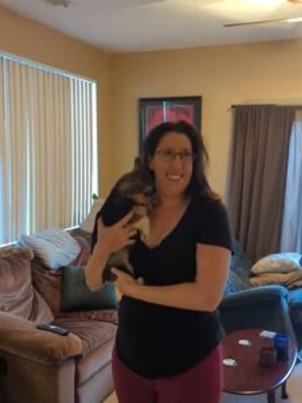 Customer photo of Corgi, Pembroke Welsh puppy from Tracy V.