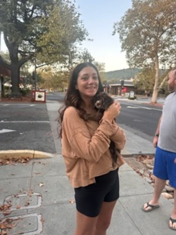 Customer photo of Cocker Spaniel puppy from Amanda N.