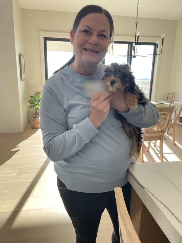 Customer photo of Cavapoo puppy from Emily R.