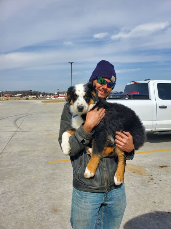 Customer photo of Australian Mountain Dog puppy from Diane H.