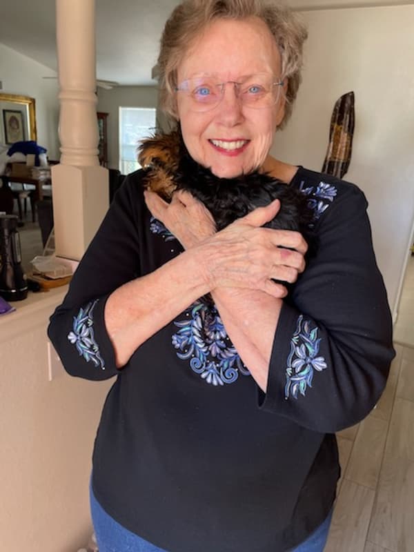 Customer photo of Yorkshire Terrier - Yorkie puppy from Jolene P.