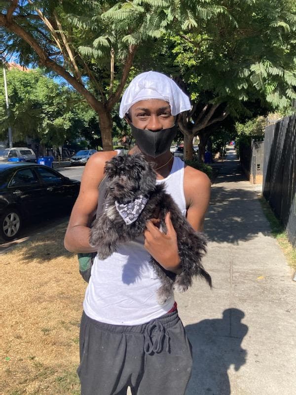 Customer photo of Cockachon puppy from Toyvon C.