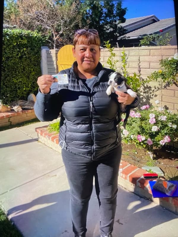 Customer photo of Boston Terrier puppy from Victoria S.