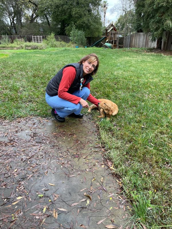 Customer photo of Golden Retriever puppy from Jennifer M.