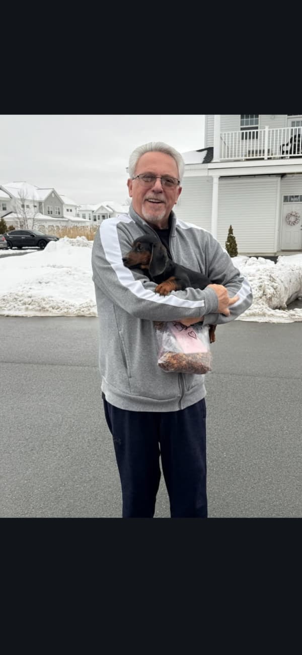 Customer photo of Dachshund, Mini puppy from Paul H.