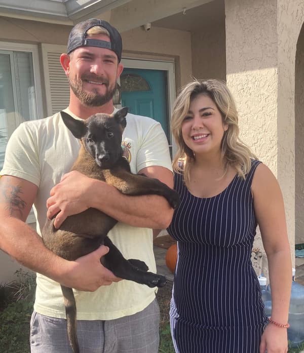 Customer photo of Belgian Malinois puppy from Sarah M.