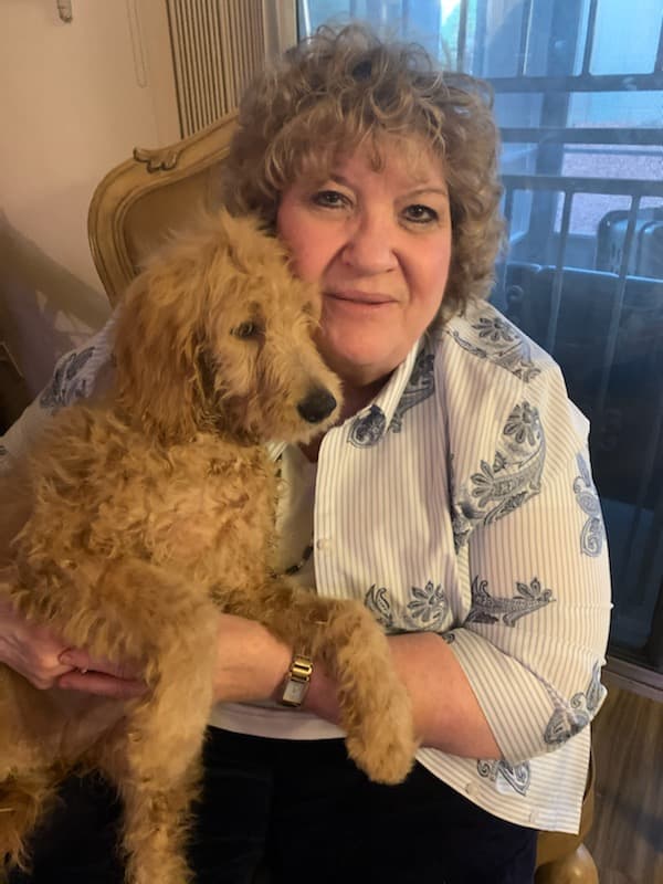 Customer photo of Goldendoodle puppy from Tamara D.