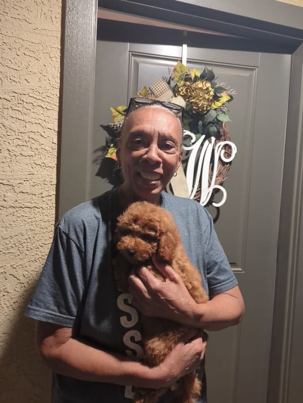 Customer photo of Cavapoo puppy from Theodora W.
