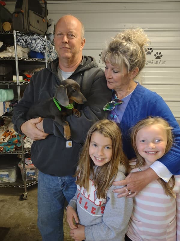 Customer photo of Dachshund, Mini puppy from David G.