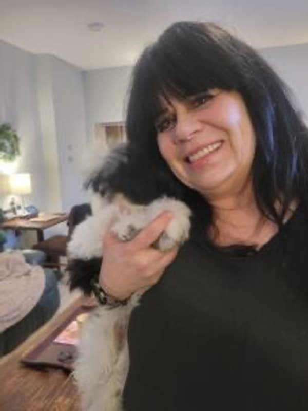 Customer photo of Shih Tzu puppy from Lydia M.