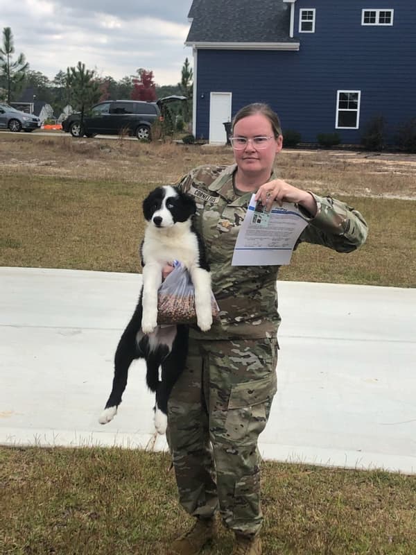 Customer photo of Border Collie puppy from Chrissy C.