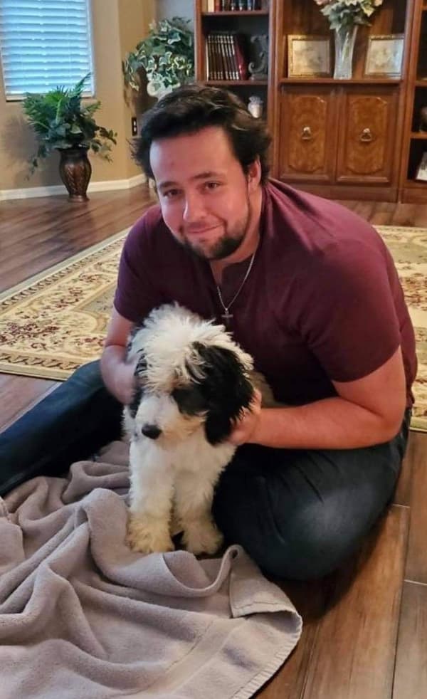 Customer photo of Bernedoodle, Mini puppy from Cassandra S.