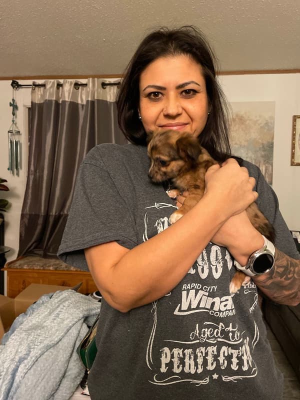 Customer photo of Chihuahua puppy from Monique M.