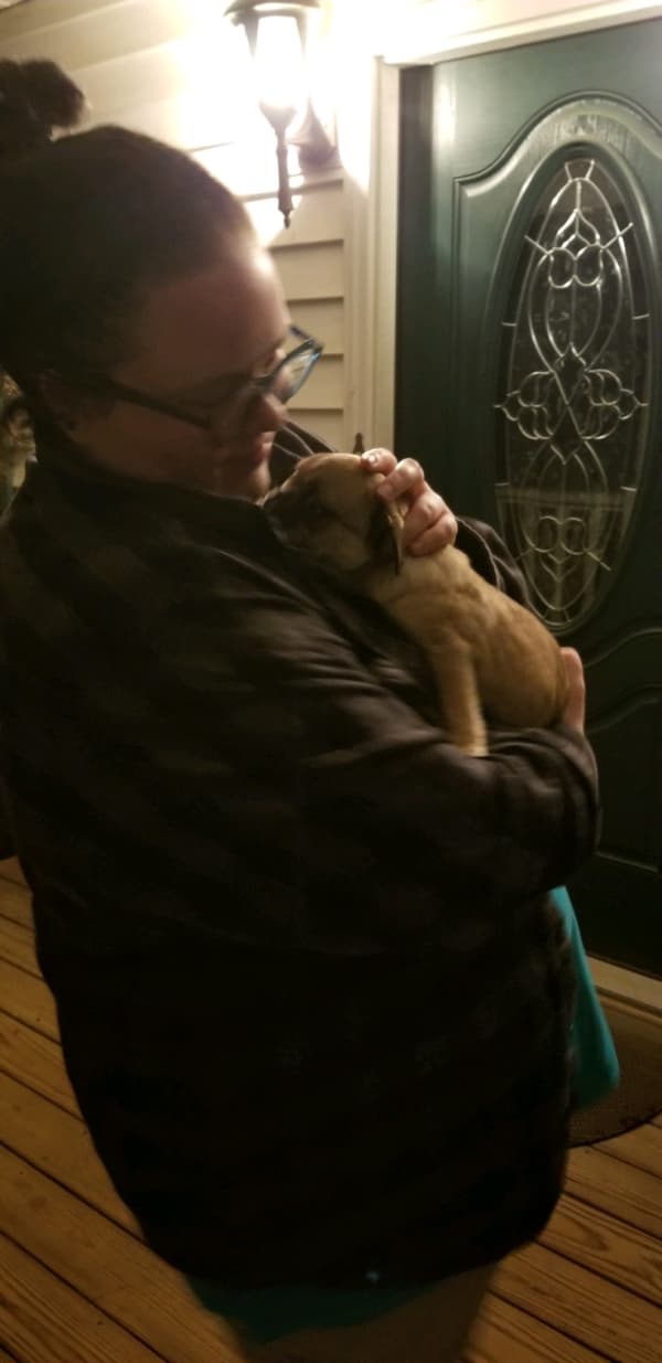 Customer photo of Pug puppy from Lisa B.