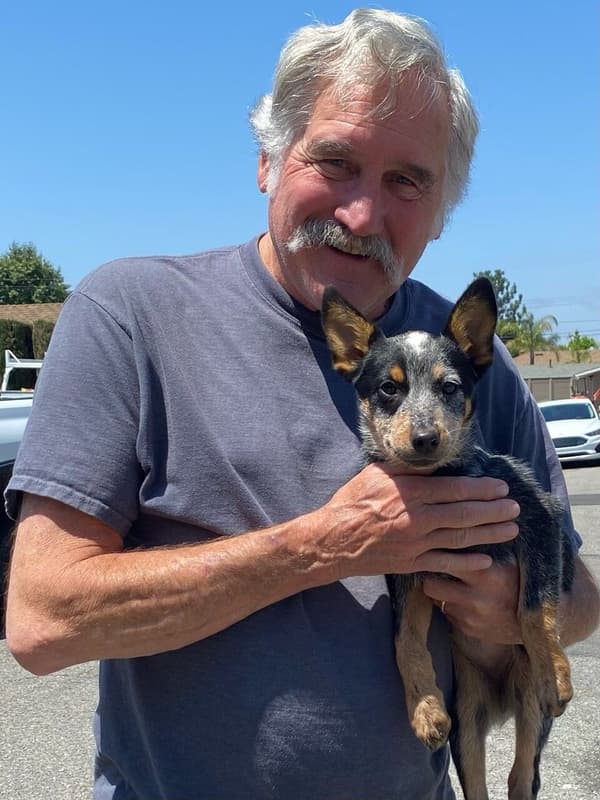 Customer photo of Australian Cattle Dog/Blue Heeler puppy from Kathy P.