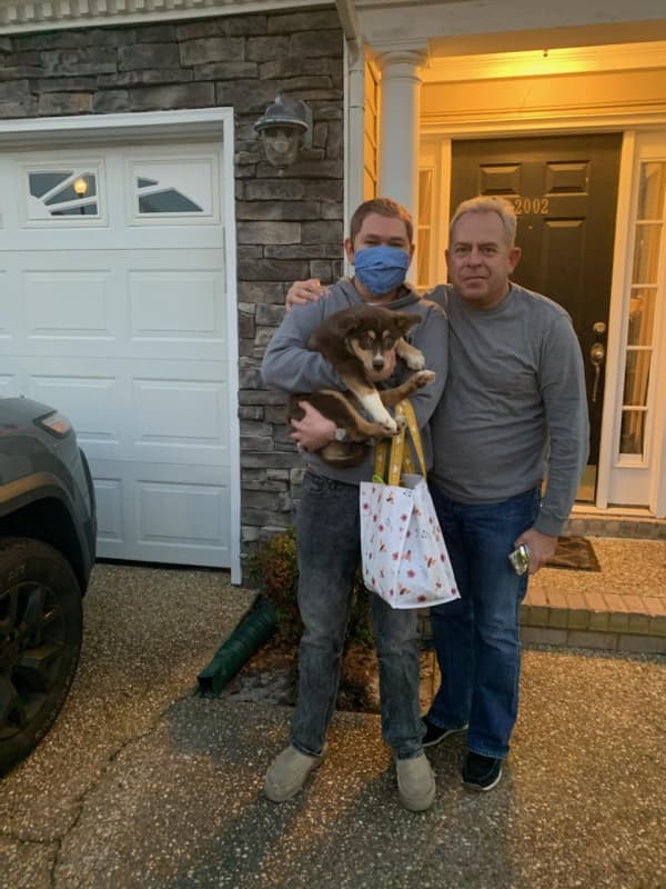 Customer photo of Pomsky puppy from Ignatius C.