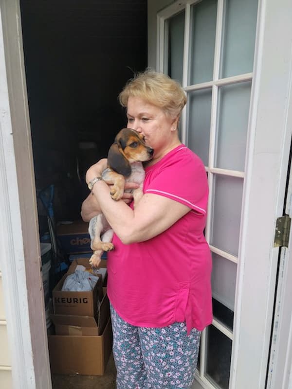 Customer photo of Beagle puppy from Debra M.