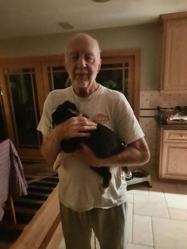 Customer photo of Miniature Australian Shepherd puppy from Dave D.