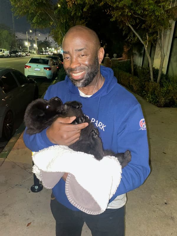 Customer photo of Chow Chow puppy from Frank M.