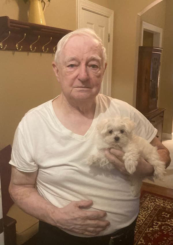 Customer photo of Maltese puppy from Albert B.