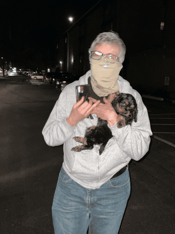 Customer photo of Cocker Spaniel puppy from Judith D.