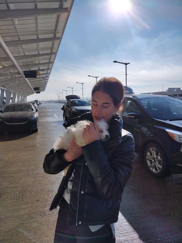 Customer photo of Cavapoo puppy from Alexandra R. 