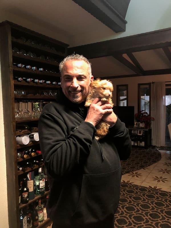 Customer photo of Yorkshire Terrier - Yorkie puppy from Frank M.