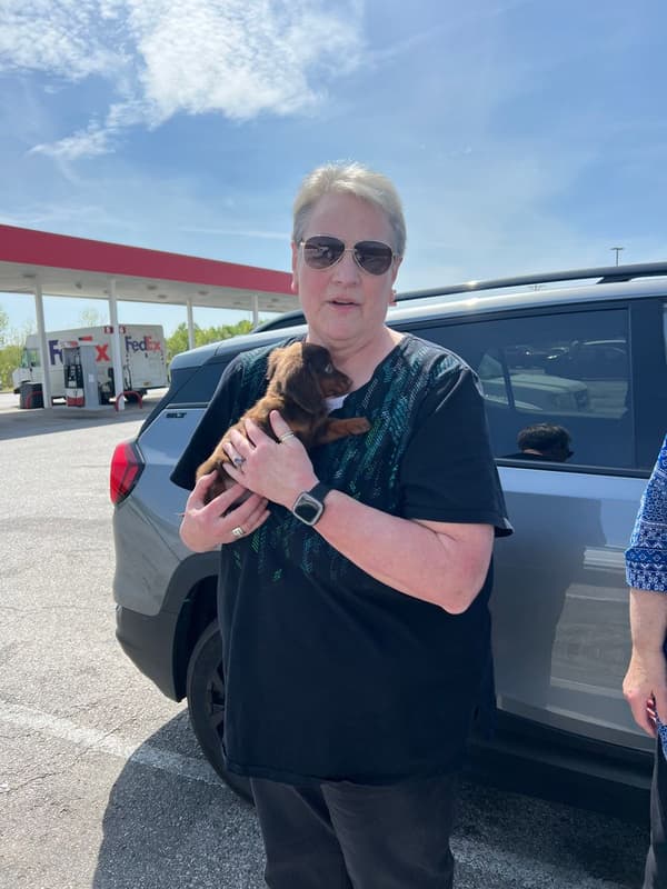Customer photo of Dachshund, Mini puppy from Michele B.