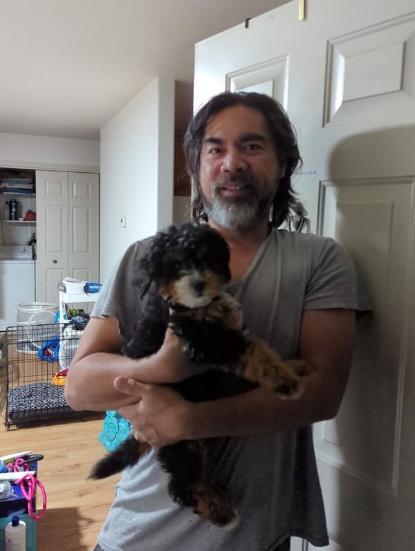 Customer photo of Bernedoodle, Mini puppy from Philippe P.