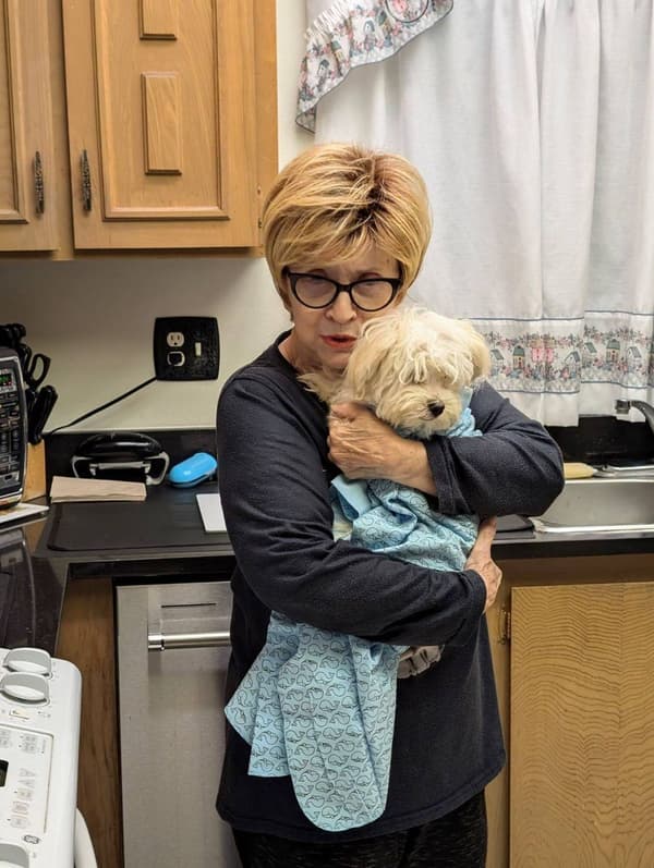 Customer photo of Malti Poo - Maltipoo puppy from Rose H.