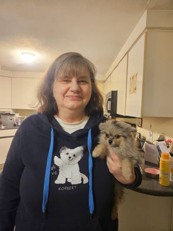 Customer photo of Pomeranian puppy from Robyn B.