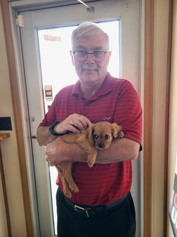 Customer photo of Cavalier King Charles Spaniel puppy from David J.