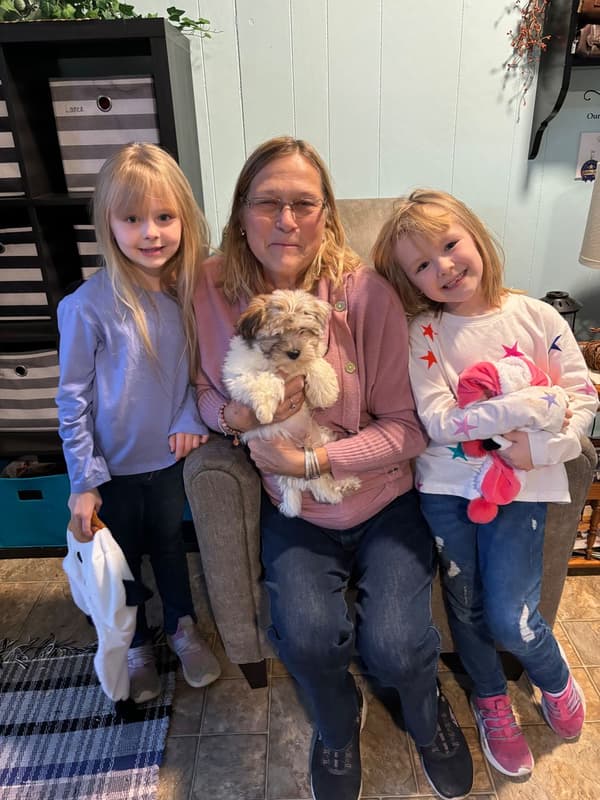 Customer photo of Havanese puppy from Janni M.