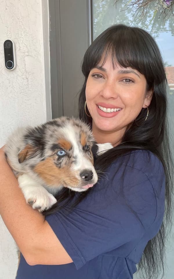 Customer photo of Miniature Australian Shepherd puppy from Adriana Q.