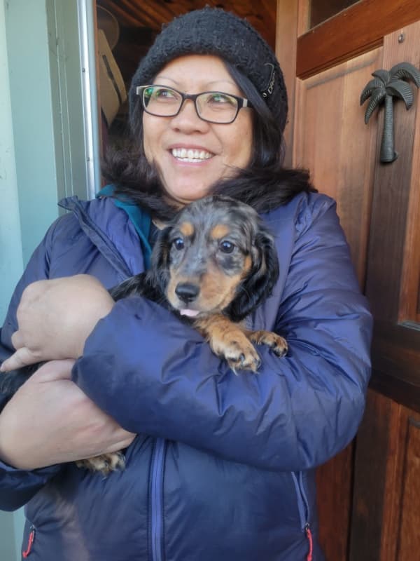 Customer photo of Dachshund, Mini puppy from Tia O.